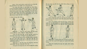 Read more about the article [Tài liệu] Bộ sách 2 Thái Cực Quyền Trần Gia